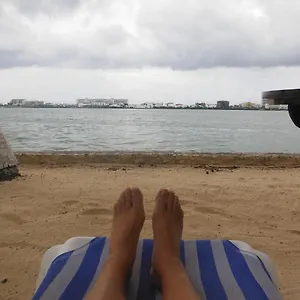 Coral Mar Puerto Morelos